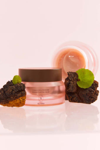 Chaga Cica Exosome Derma Coating Balm 55g